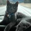 110506_14_highway16