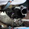 110506_28_highway16