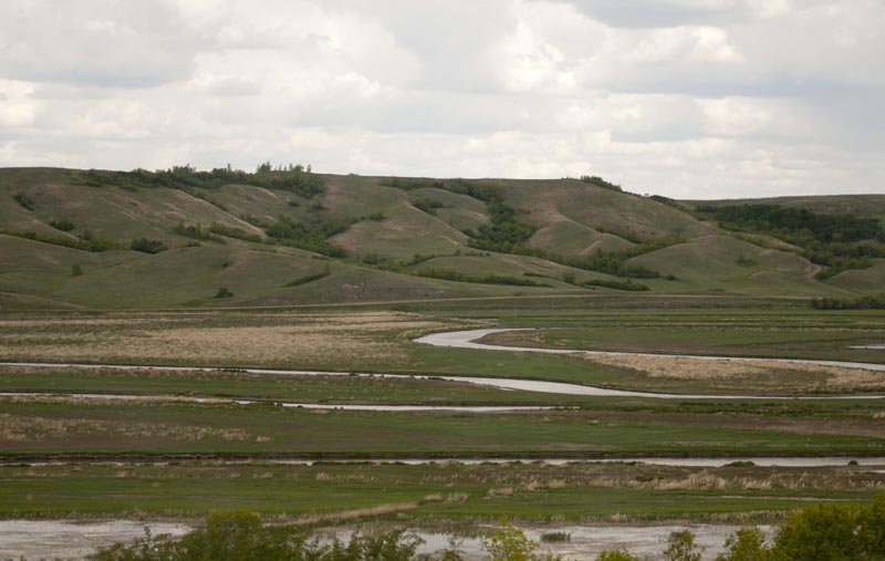 120601_001_prairie