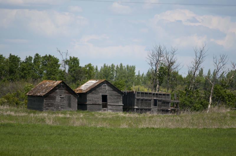 120601_004_prairie