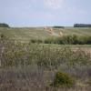 120601_006_prairie