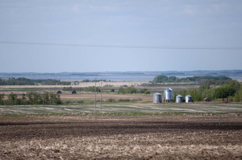 120601_007_prairie
