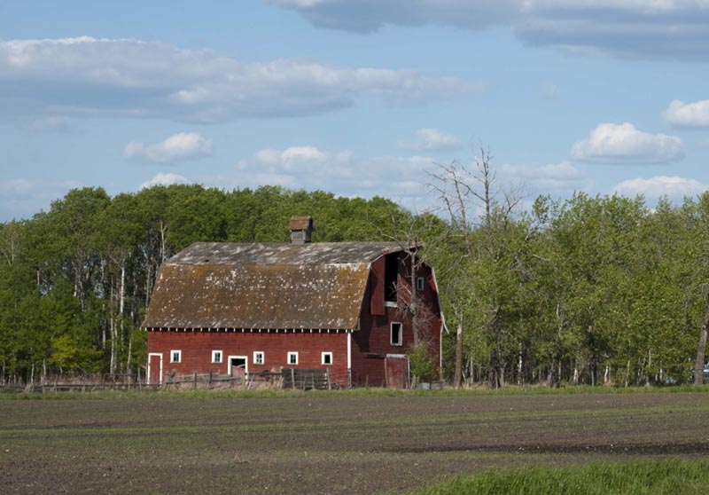 120601_014_prairie
