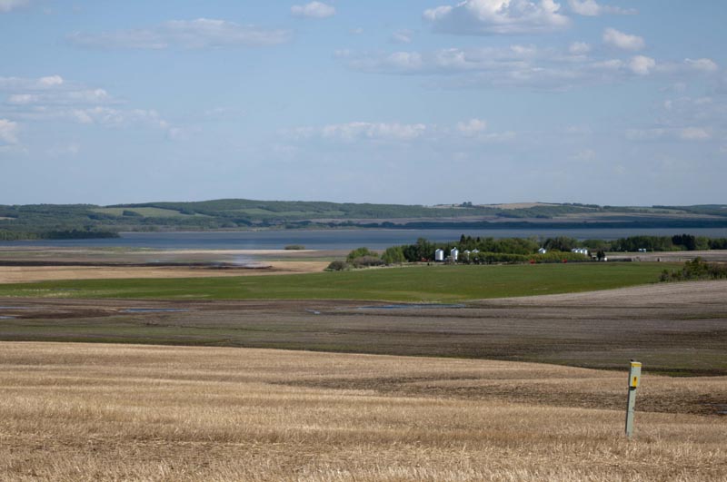 120601_015_prairie
