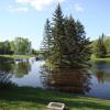 120601_017_greenwater