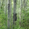 120602_007_greenwater