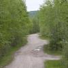 120602_011_greenwater