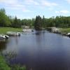 120603_004_greenwater