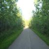120603_019_greenwater