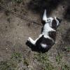 120616_06_douglas