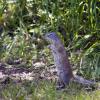 120616_08_douglas