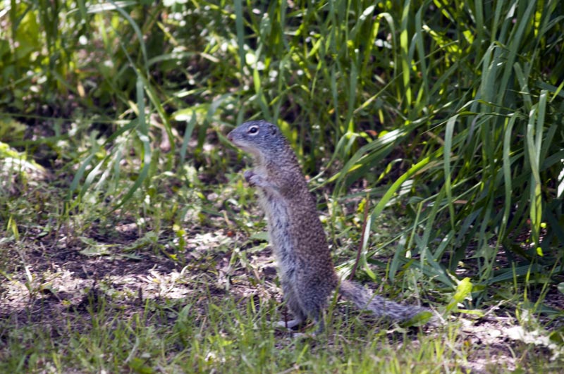 120616_08_douglas