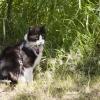 120616_12_douglas