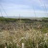 120616_13_douglas