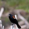 120616_17_douglas