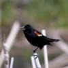 120616_18_douglas