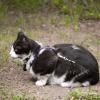 120616_41_douglas