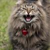 120616_43_douglas