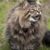 120616_46_douglas