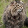 120616_48_douglas