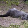 120616_55_douglas