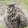 120616_59_douglas