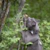 120616_61_douglas