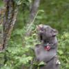 120616_62_douglas