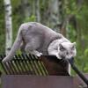 120616_66_douglas