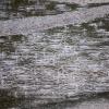 120617_01_douglas