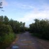 120617_03_douglas