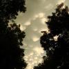 120626_010_storm_mammatusclouds