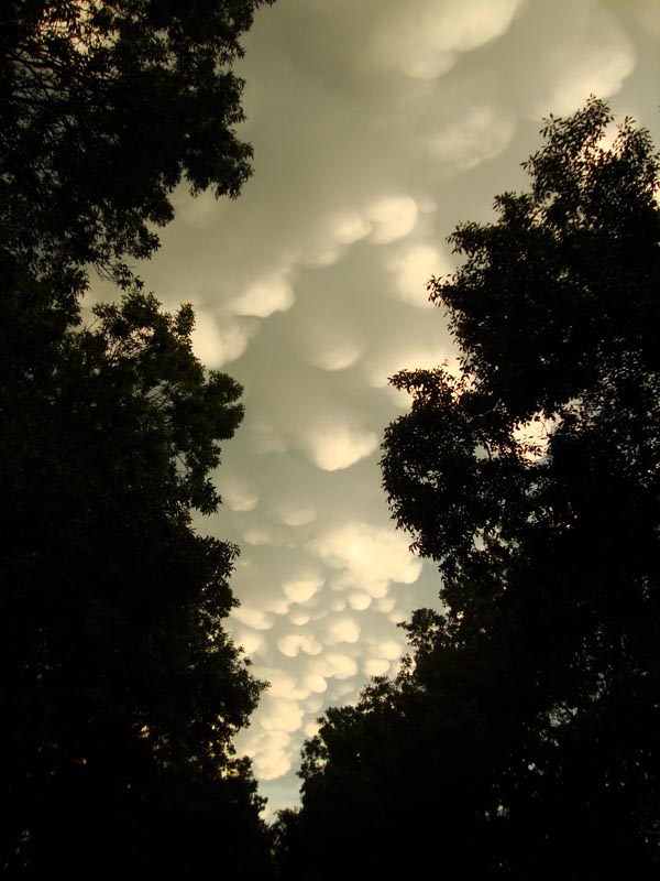 120626_010_storm_mammatusclouds