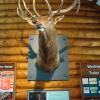 120630_027_rmnp