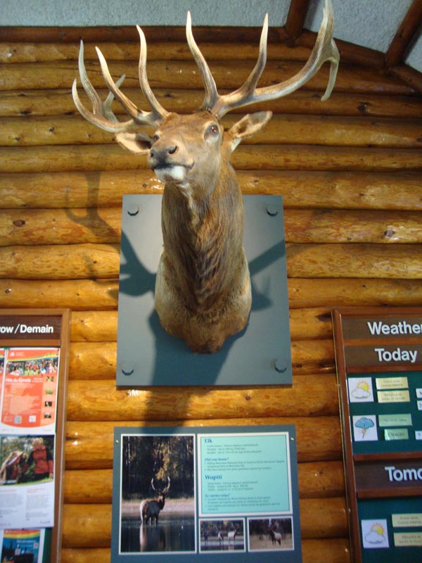 120630_027_rmnp