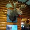 120630_030_rmnp