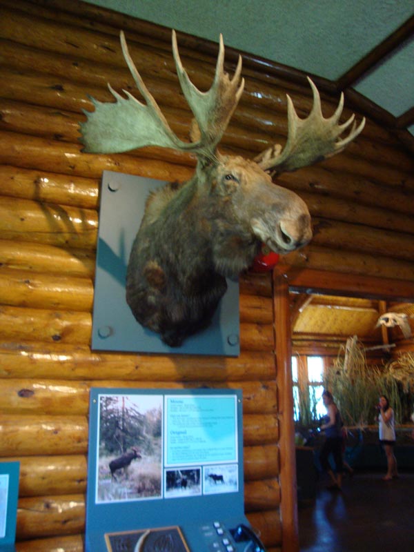 120630_030_rmnp