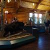 120630_031_rmnp