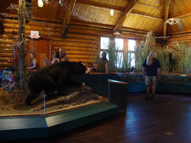 120630_031_rmnp