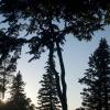 120630_054_rmnp