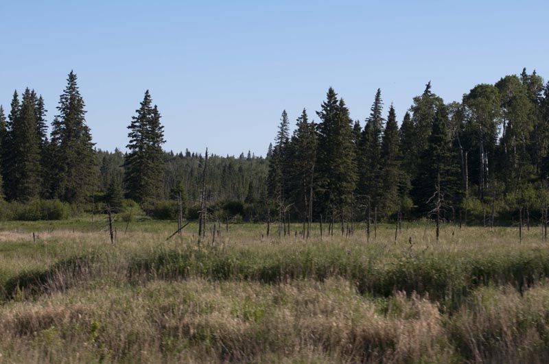 120703_004_rmnp