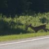 120703_025_rmnp