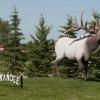 120703_029_manitoba