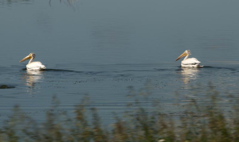 120703_032_manitoba