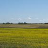120703_038_manitoba