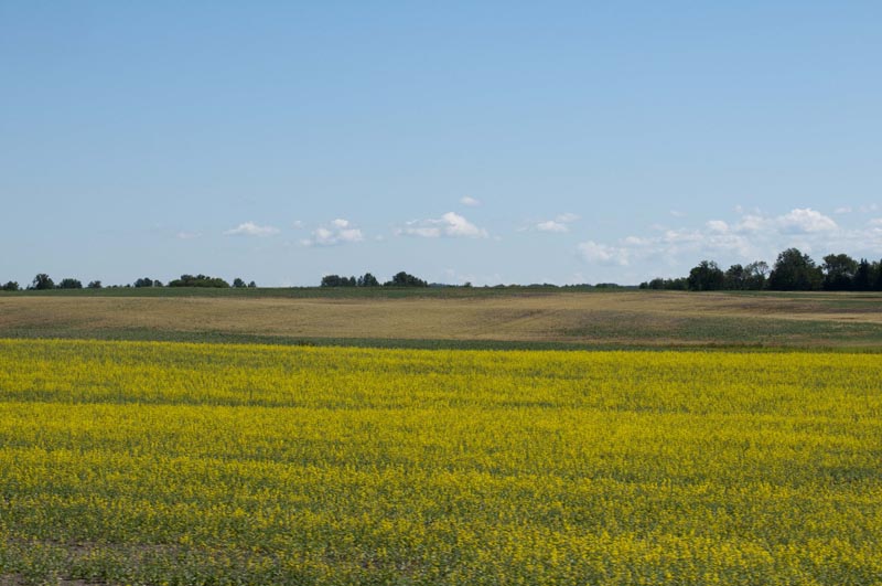 120703_038_manitoba