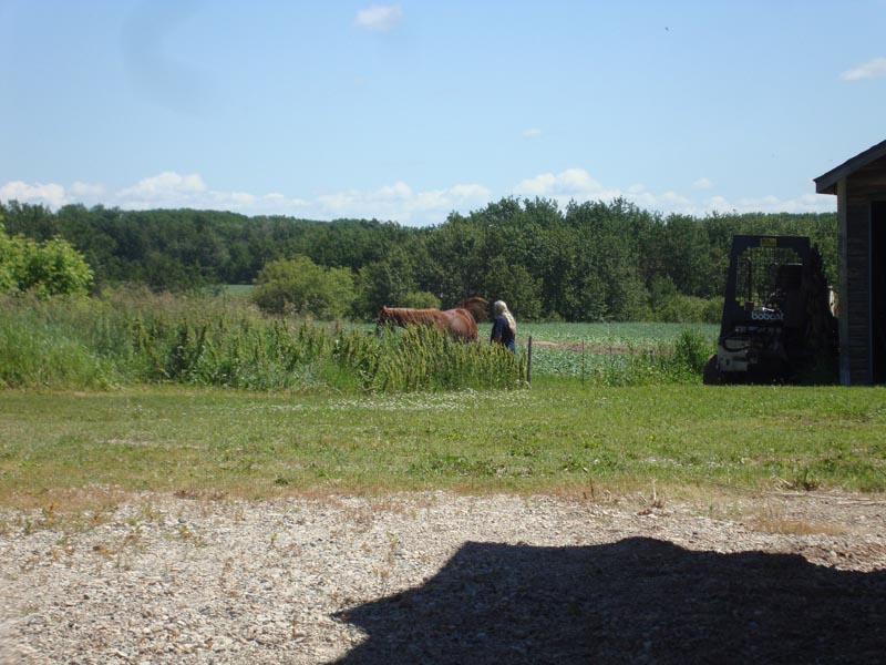 120703_048_annekedries