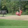 120728_020_douglas