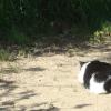 120728_021_douglas