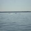 120728_028_douglas